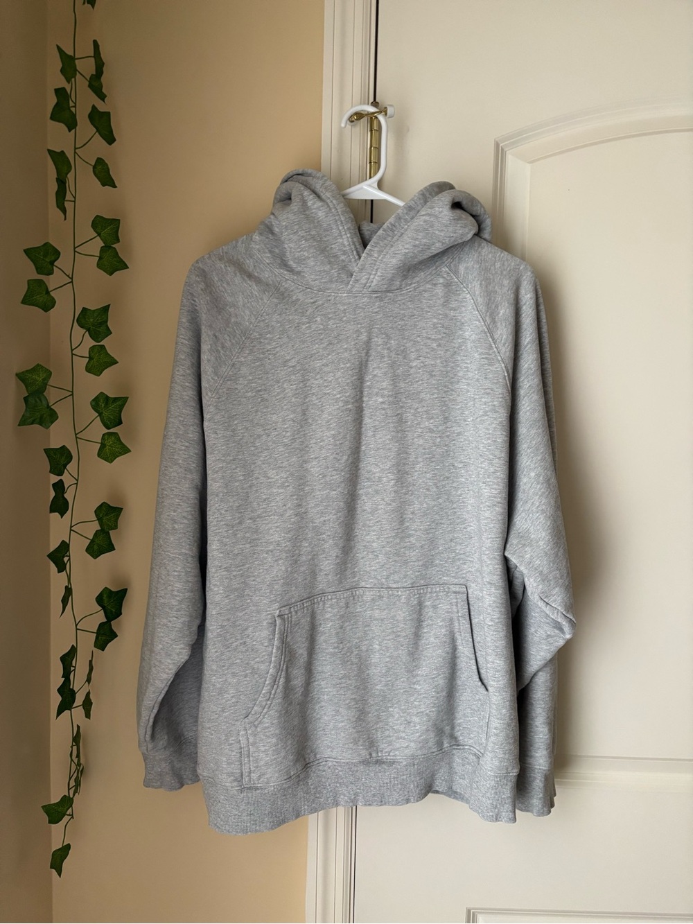 aritzia cozy sweatfleece mega raglan hoodie
